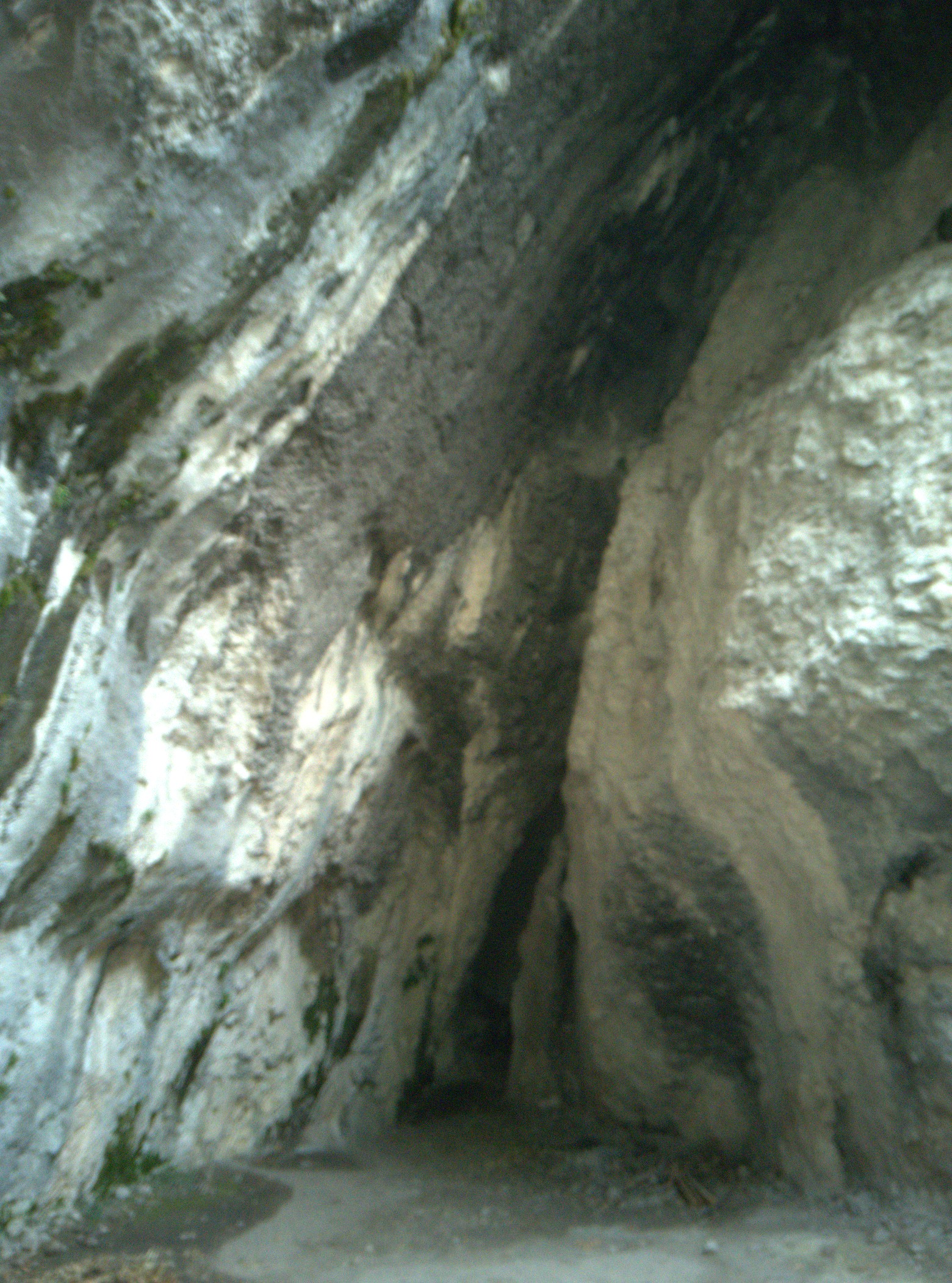 Sentier Blanc-Martel, Gorges du Verdon, La Palud-sur-Verdon [Blanc-Martel trail, Verdon Gorge, La Palud-sur-Verdon]