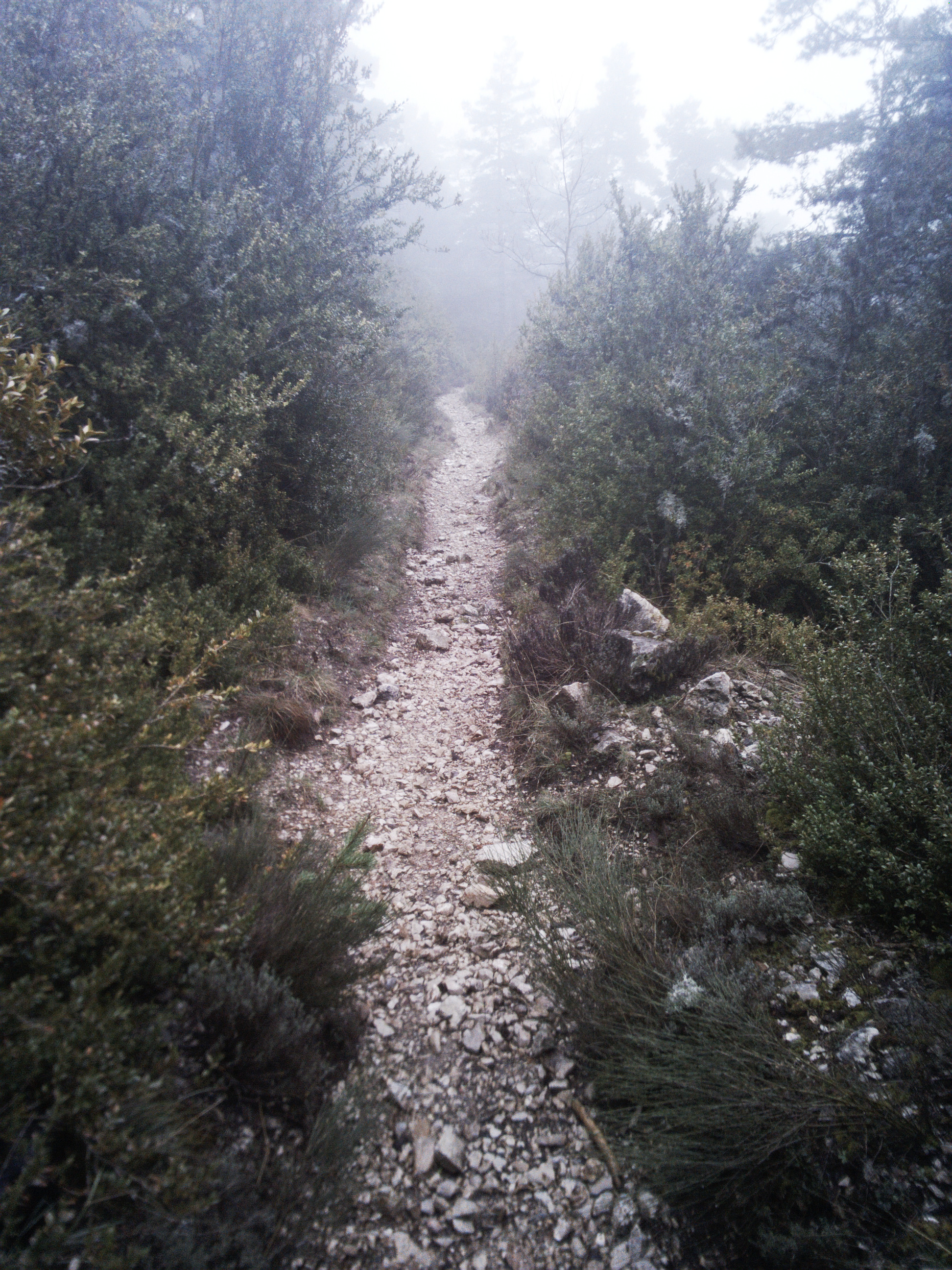 Chemin entre La Faye et le pic nommé 'Cime de Barbin' [Path between La Faye and the peak named 'Cime de Barbin']